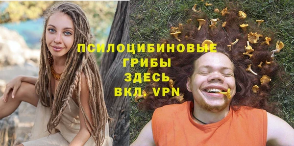 дживик Карпинск