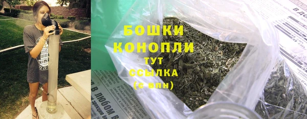 ГАЛЛЮЦИНОГЕННЫЕ ГРИБЫ Карталы