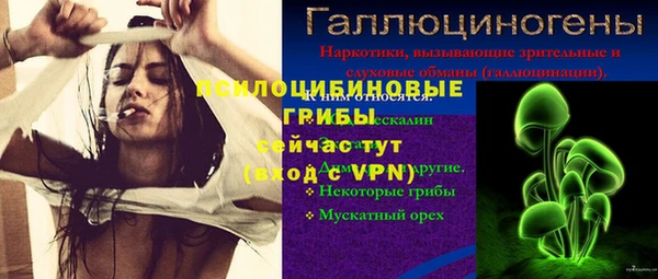 дживик Карпинск