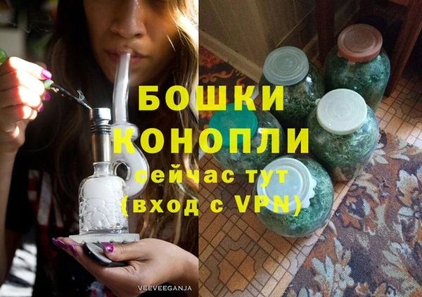 ГАЛЛЮЦИНОГЕННЫЕ ГРИБЫ Карталы
